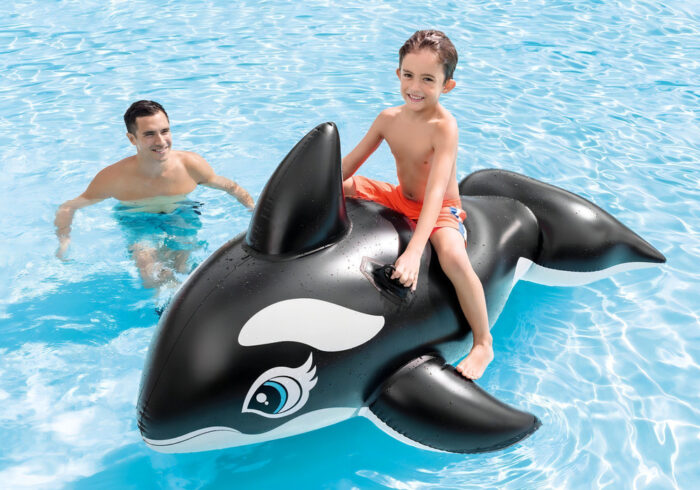 D_NQ_NP_2X_745902-MLA92566435290_092025-O.jpg Orca Inflable Para Montar Intex 193 119 Cm