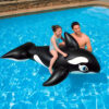 D_NQ_NP_2X_749590-MLA96055475347_102025-O.jpg Orca Inflable Para Montar Intex 193 119 Cm