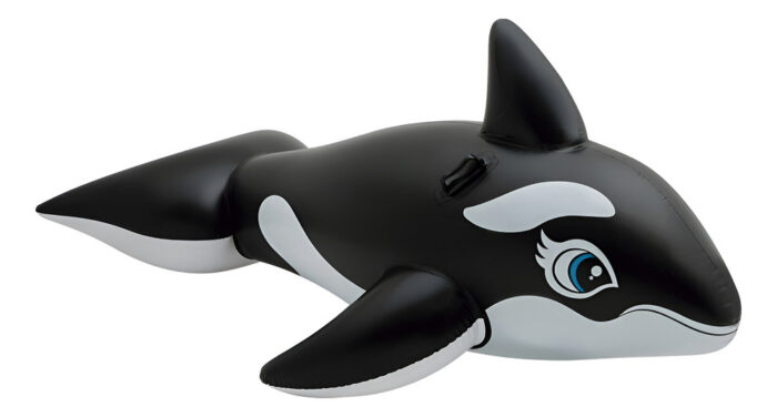 D_NQ_NP_2X_850957-MLA95556580503_102025-O.jpg Orca Inflable Para Montar Intex 193 119 Cm