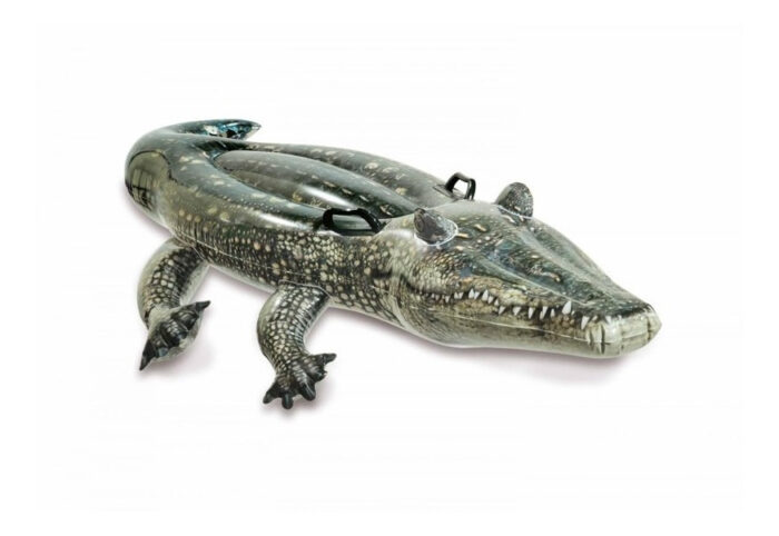 D_NQ_NP_2X_856526-MLA92396009854_092025-O.jpg Inflable De Cocodrilo Montable Intex 57551