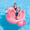 D_NQ_NP_2X_861034-MLU78495477175_082024-O.jpg Colchoneta Isla Flamenco Inflable Intex 142cm