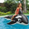 D_NQ_NP_2X_912132-MLA92055135429_092025-O.jpg Orca Inflable Para Montar Intex 193 119 Cm