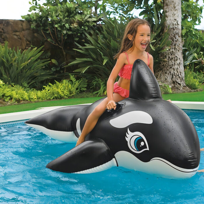 D_NQ_NP_2X_912132-MLA92055135429_092025-O.jpg Orca Inflable Para Montar Intex 193 119 Cm